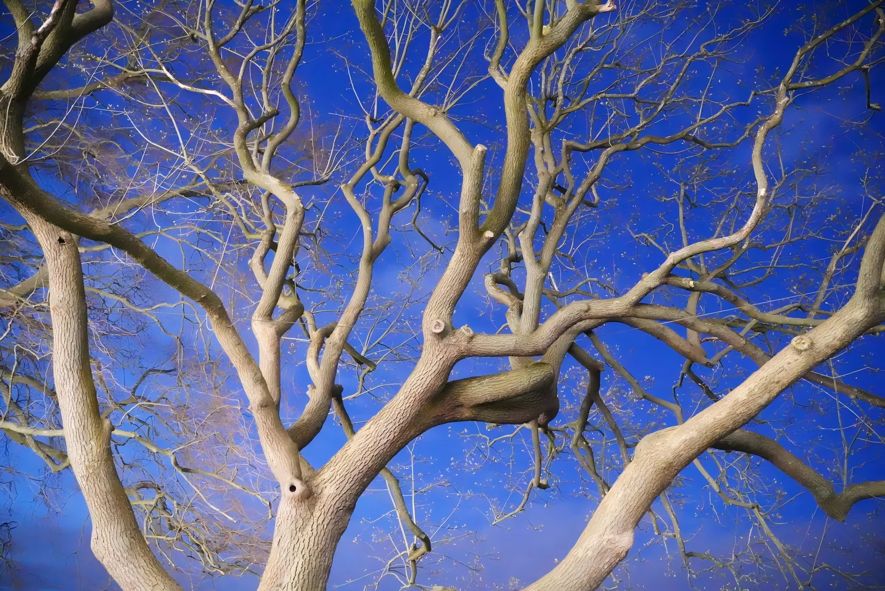Fine Art 14
