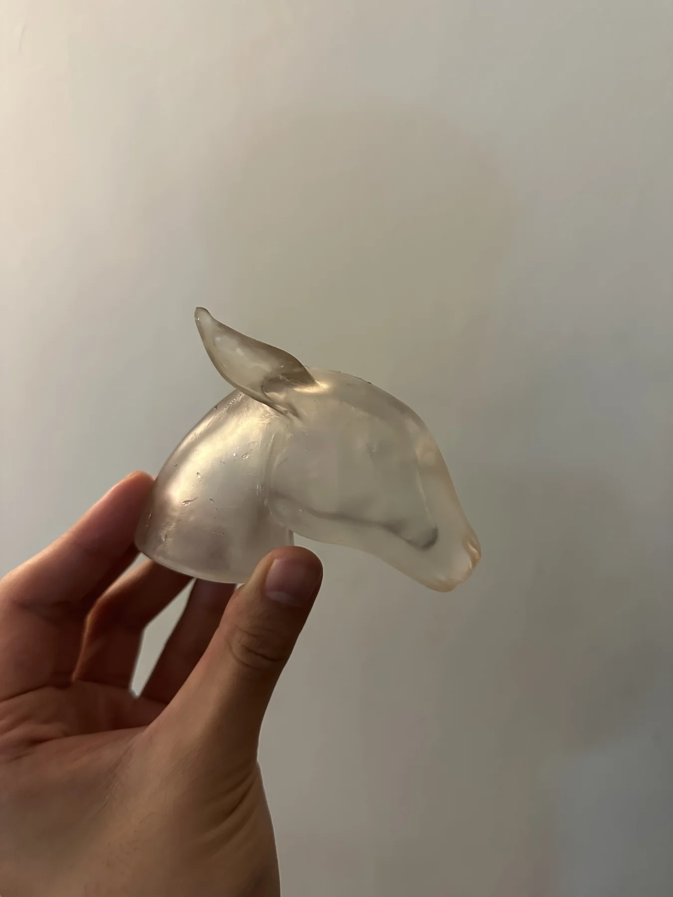 Transparent resin sheep print held indoors