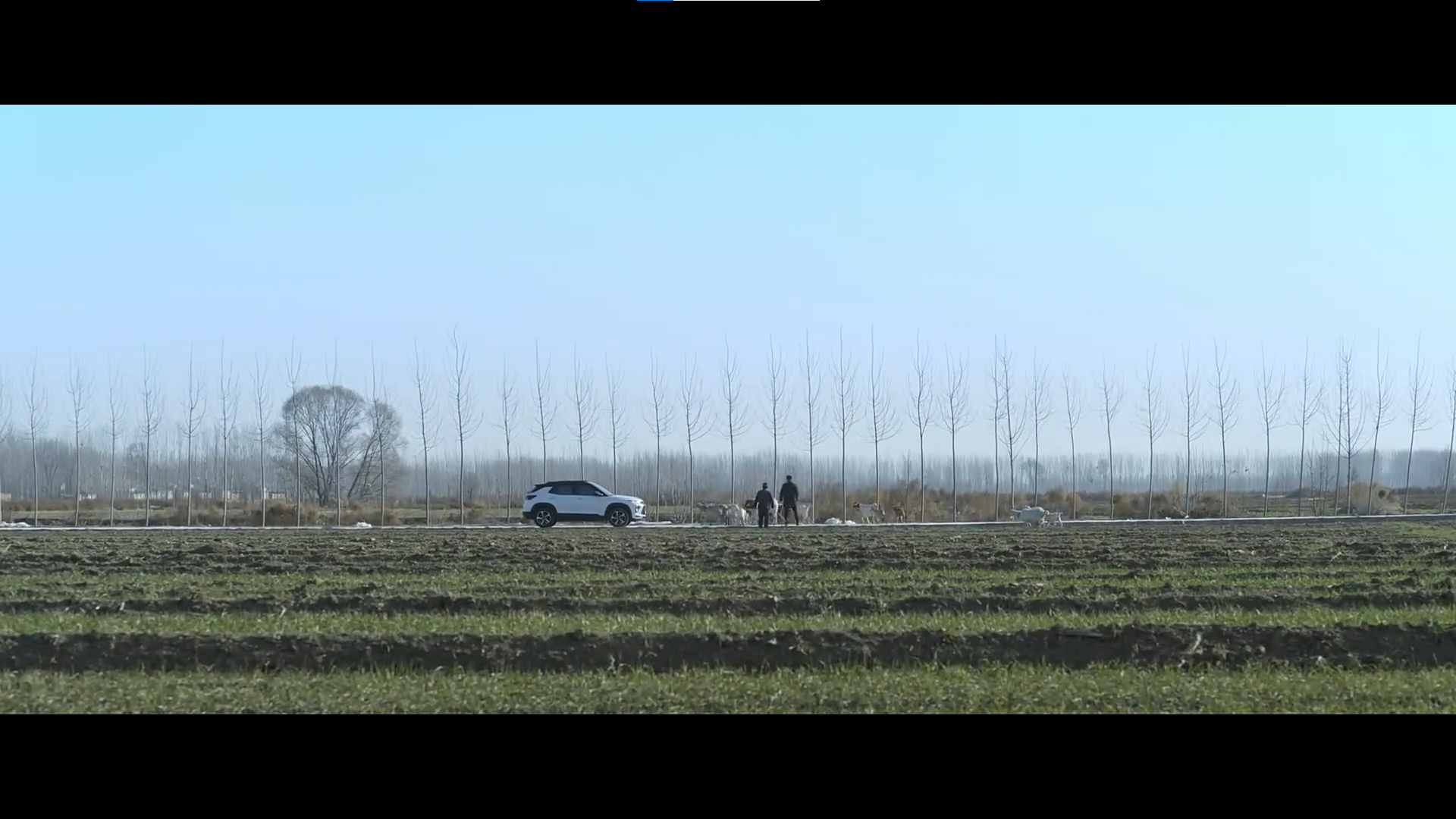 Film 03 cover: a rural road and white vehicle